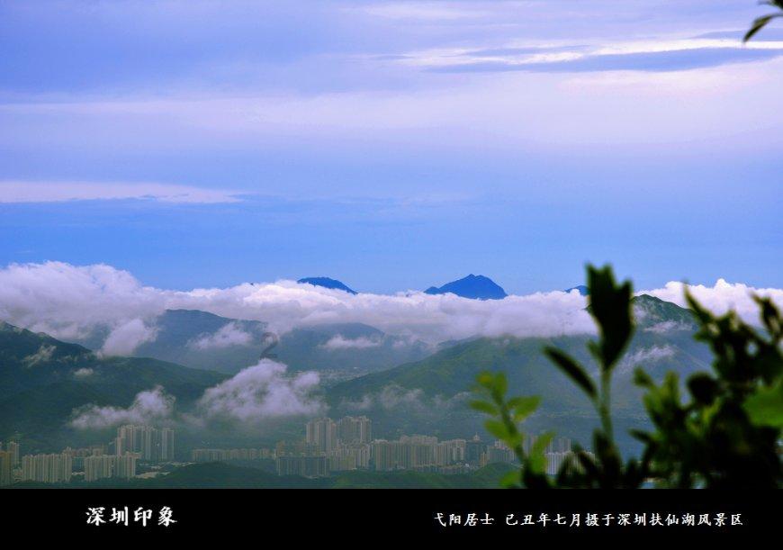 为什么那么多人只喜欢苹果手机?游戏画面