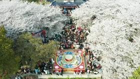 召唤神龙万宁版祖龙
