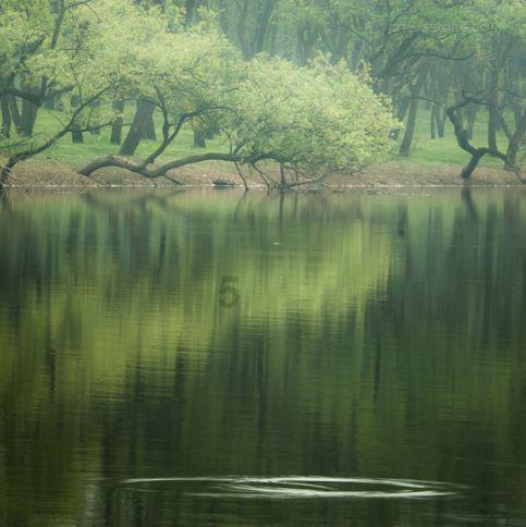 吃动物血到底有啥好处?吃了后排黑便是在排毒?医生无奈说出实情