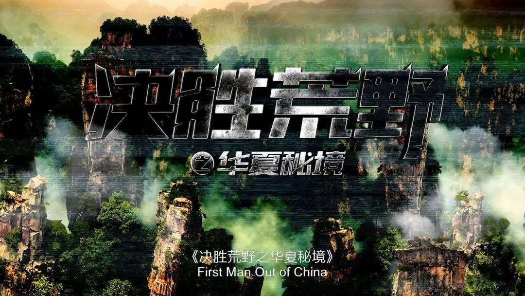 度假的时尚女孩