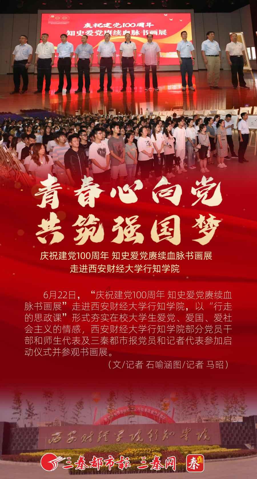 小猫钓鱼正版下载中文版