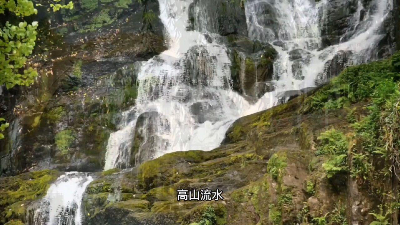 省卫生健康委召开2023年度党组织书记 抓基层党建述职评议考核会议