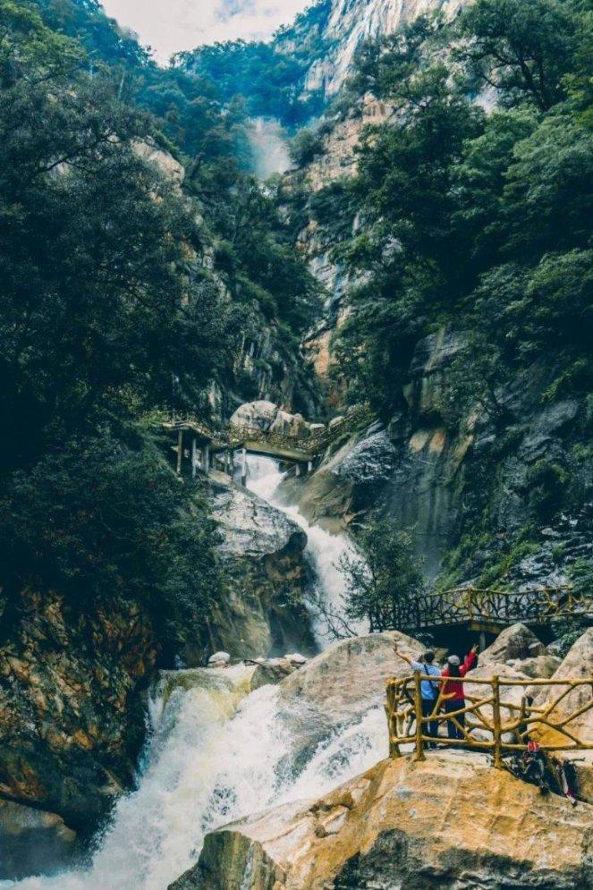 失忆的流浪者
