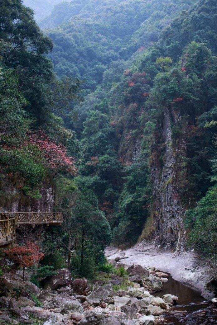 小猫钓鱼游戏龙王版有船