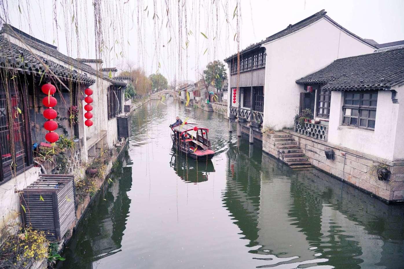 破碎的动物图形